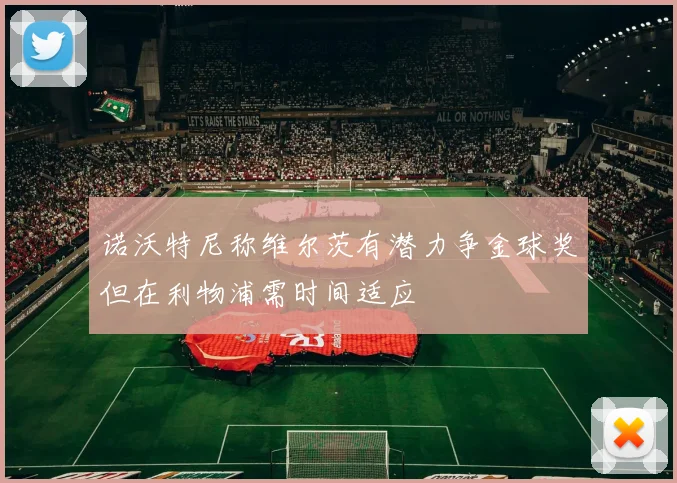 诺沃特尼称维尔茨有潜力争金球奖但在利物浦需时间适应