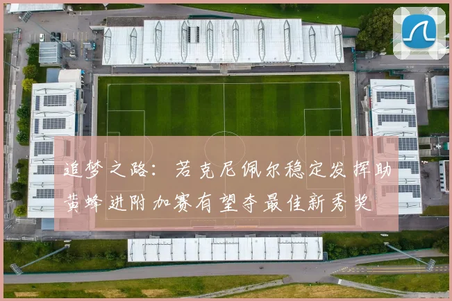 追梦之路：若克尼佩尔稳定发挥助黄蜂进附加赛有望夺最佳新秀奖