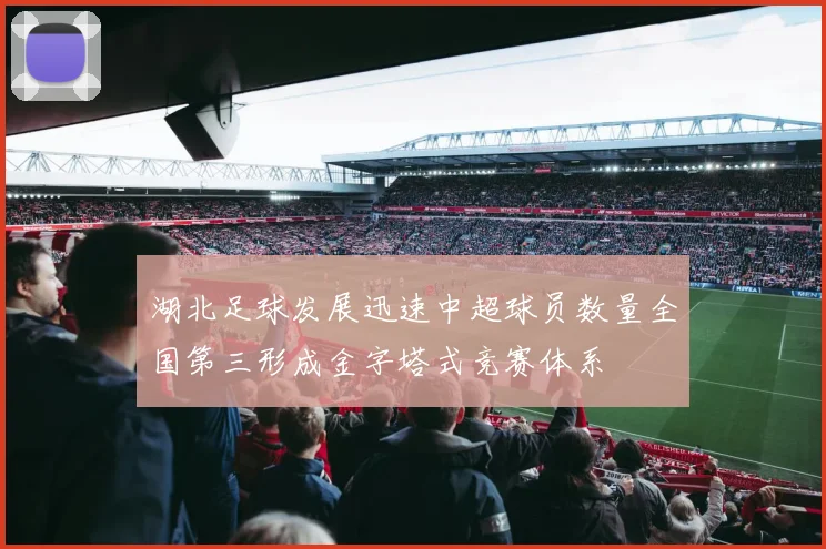 湖北足球发展迅速中超球员数量全国第三形成金字塔式竞赛体系